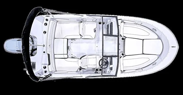 Slide: The Image of Stingray 172 DC 2026 - 26