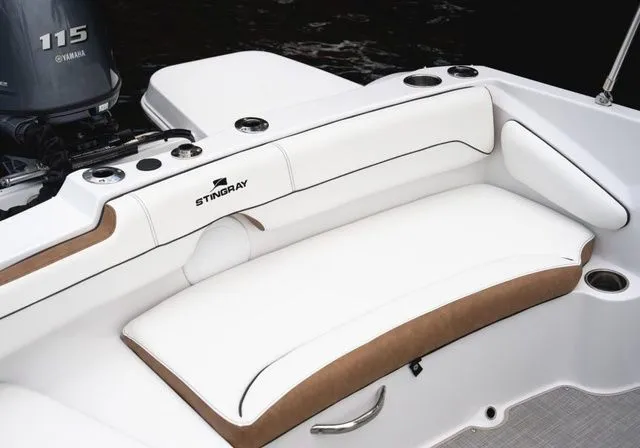 Slide: The Image of Stingray 191 DC 2026 - 11