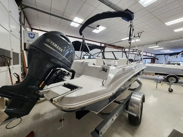 Slide: The Image of Stingray 191 DC 2026 - 3