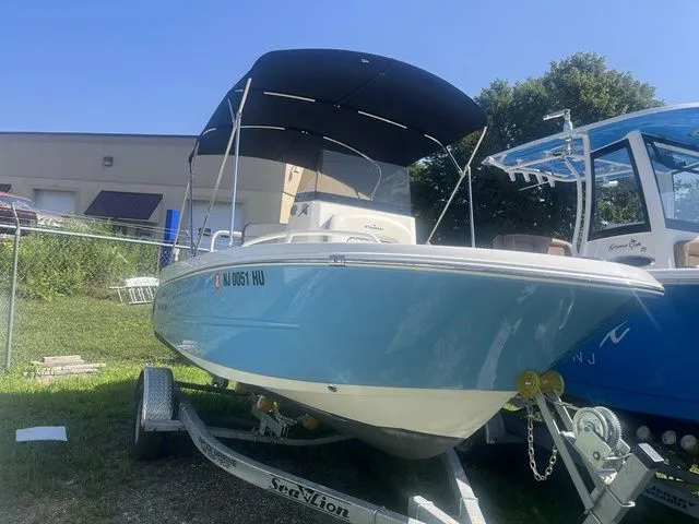 The Image of Stingray 173 CC 2024 - 1