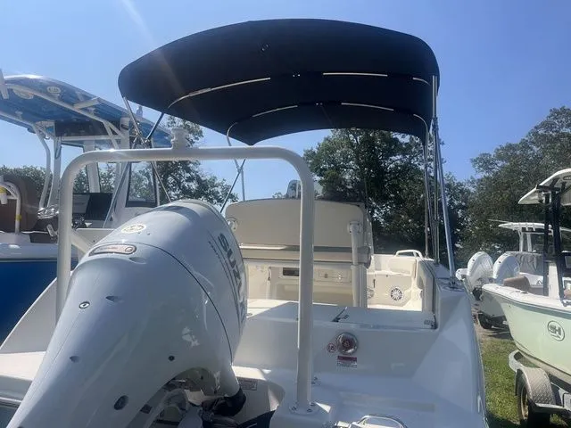 Slide: The Image of Stingray 173 CC 2024 - 3