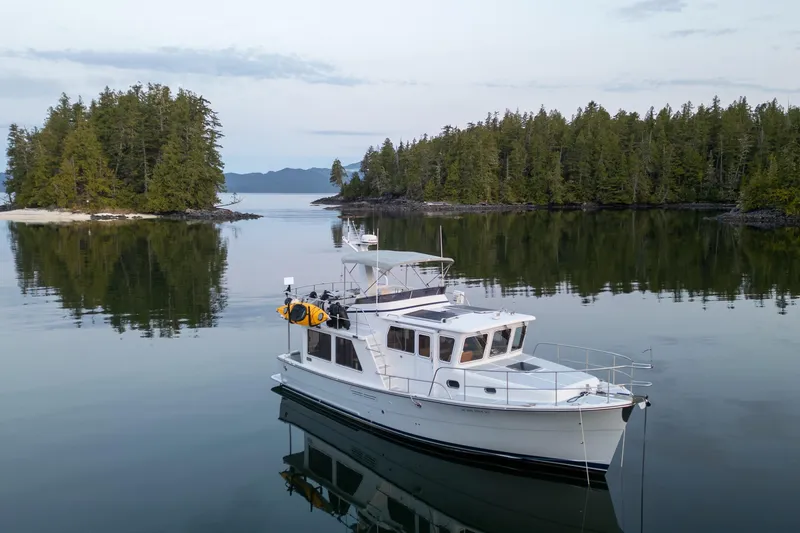 The Image of Helmsman Trawlers 38E 2020 model cruising in serene, forested waters. - 0