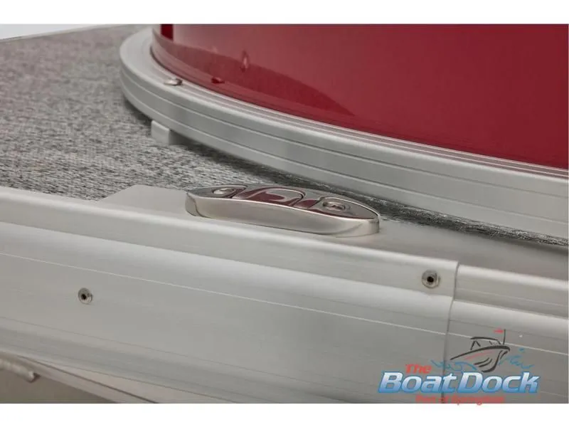 Slide: The Image of Bass Buggy 16 XL Select 2026 - 21