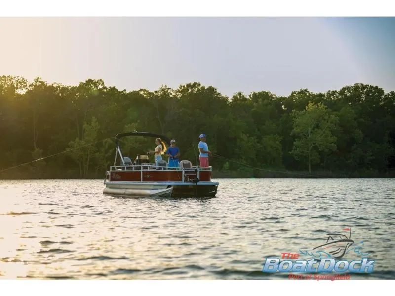 Slide: The Image of Bass Buggy 16 XL Select 2026 - 68