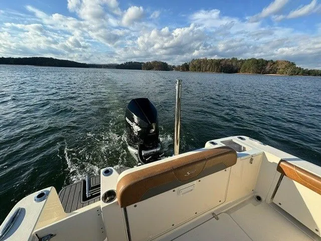 Slide: The Image of Scout 240 Dorado 2022 - 8