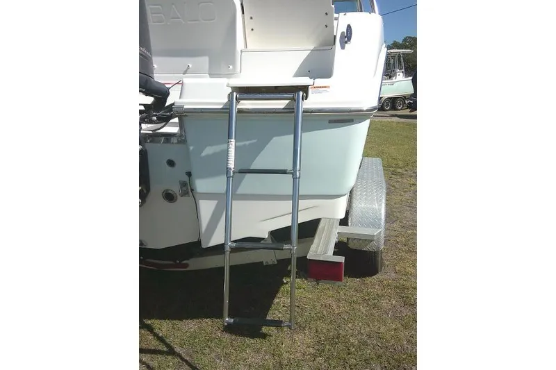 Slide: The Image of 2019 Robalo R207 Dual Console boat with ladder on trailer. - 13
