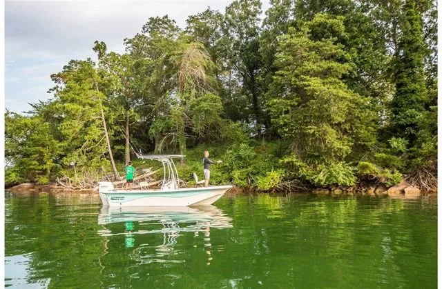 The Image of Carolina 19LS 2022 - 1