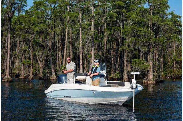 Slide: The Image of Stingray 186 CC 2019 - 17