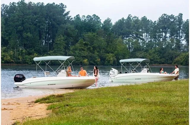 Slide: The Image of Stingray 186 CC 2019 - 18