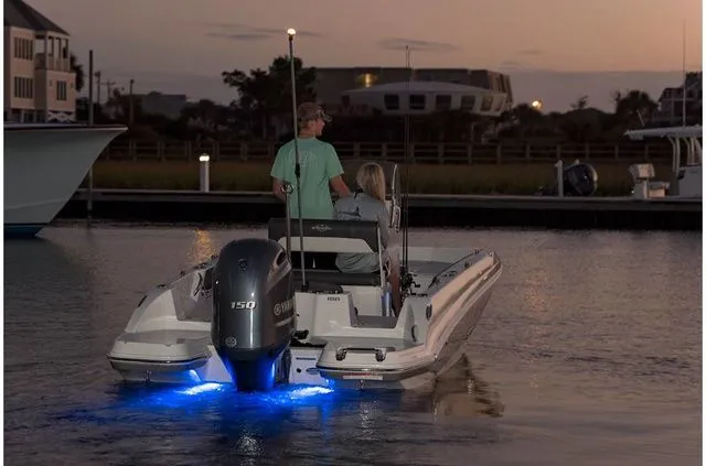 Slide: The Image of Stingray 186 CC 2019 - 19