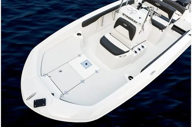 Slide: The Image of Stingray 186 CC 2019 - 22