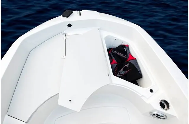 Slide: The Image of Stingray 186 CC 2019 - 23