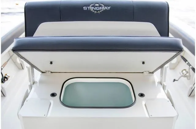 Slide: The Image of Stingray 186 CC 2019 - 24