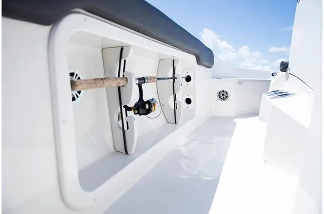 Slide: The Image of Stingray 186 CC 2019 - 25