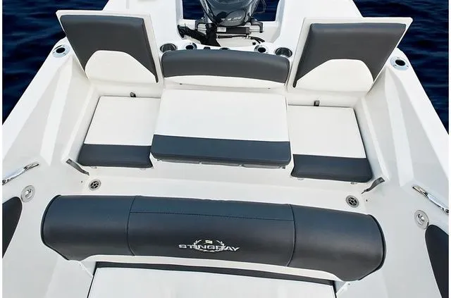 Slide: The Image of Stingray 186 CC 2019 - 26