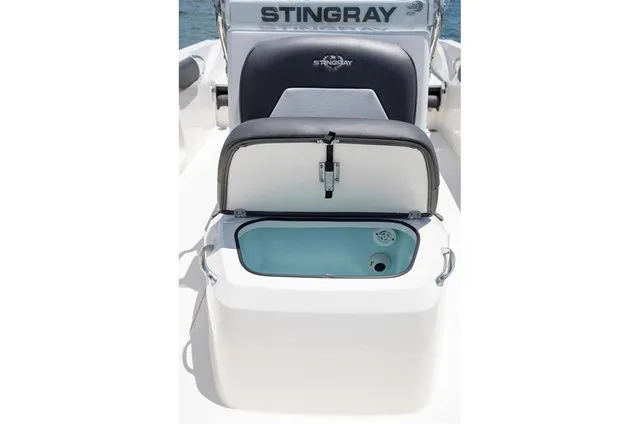 Slide: The Image of Stingray 186 CC 2019 - 27