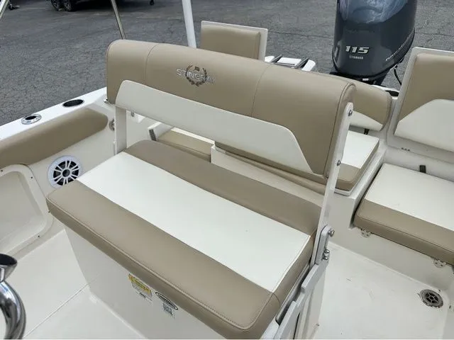 Slide: The Image of Stingray 186 CC 2019 - 4