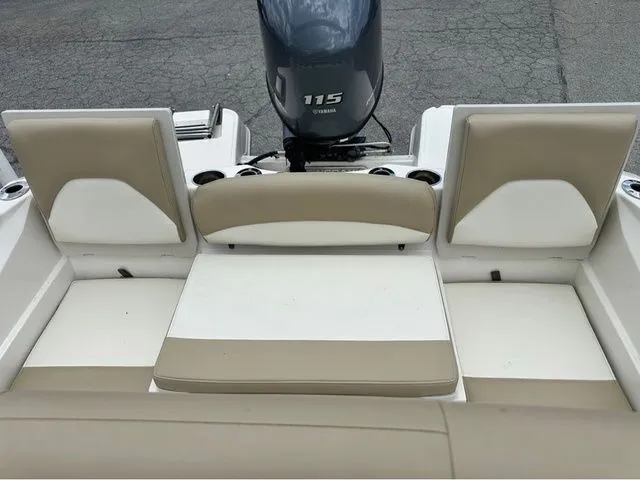 Slide: The Image of Stingray 186 CC 2019 - 5