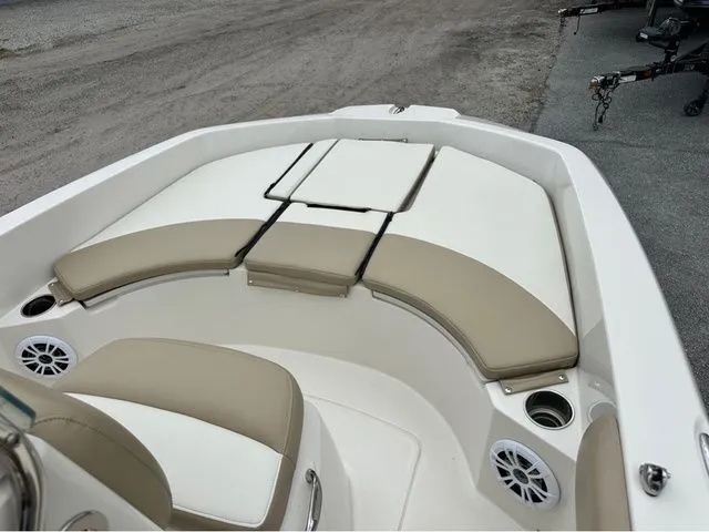 Slide: The Image of Stingray 186 CC 2019 - 6