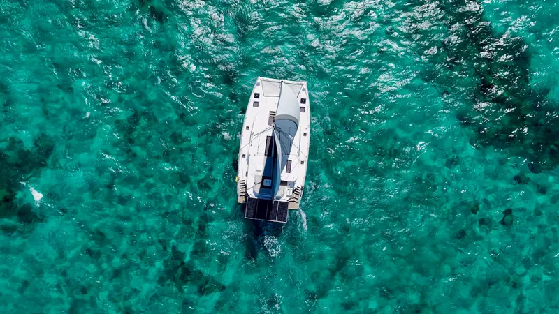 Slide: The Image of Leopard 45 2023 - 2