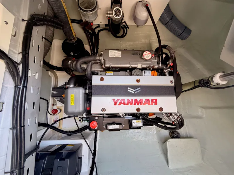 Slide: The Image of Leopard 45 2023 - 25