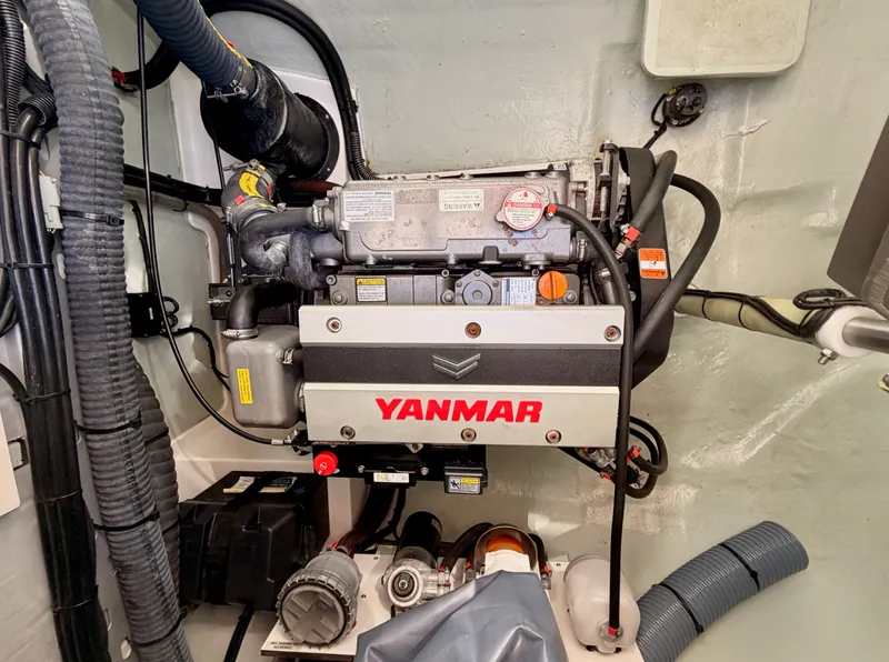 Slide: The Image of Leopard 45 2023 - 26