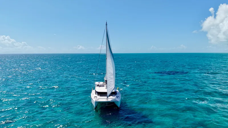 Slide: The Image of Leopard 45 2023 - 28