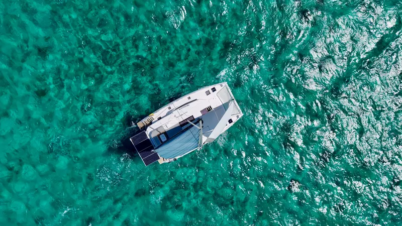 Slide: The Image of Leopard 45 2023 - 29