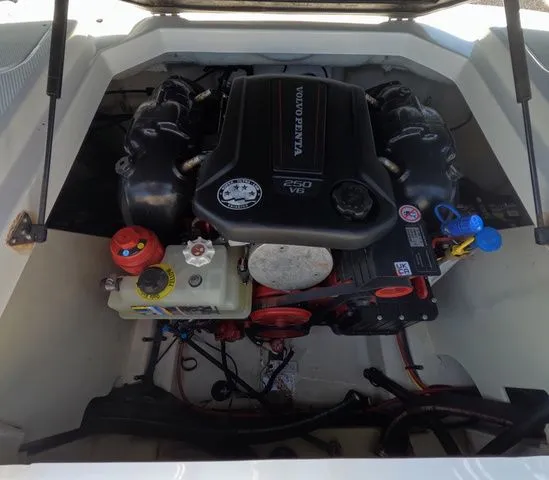 Slide: The Image of Chaparral 21 Surf 2021 - 11