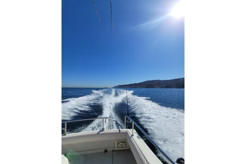 Slide: The Image of Skipjack 262 Flybridge 2001 cruising on open sea under clear blue sky. - 8