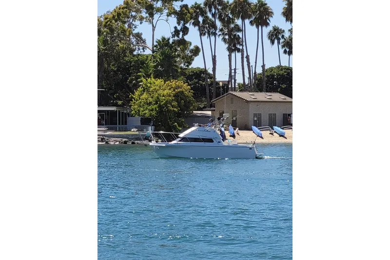 Slide: The Image of 2001 Skipjack 262 Flybridge boat cruising near a sandy shore with palm trees. - 9