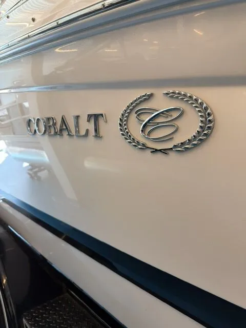 Slide: The Image of Cobalt 232 2008 - 18