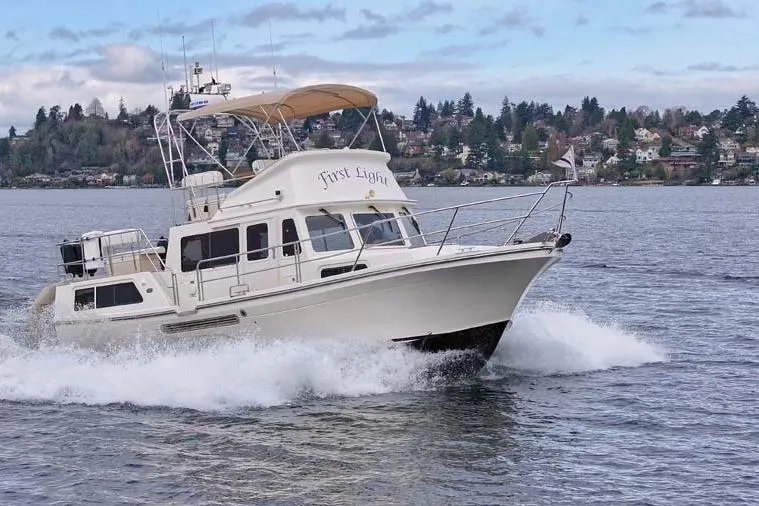 The Image of Profile - 1