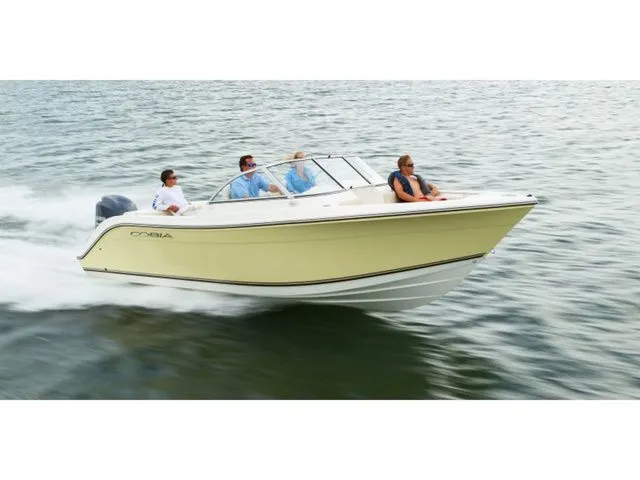 The Image of Cobia 220 Dual Console 2018 - undefined