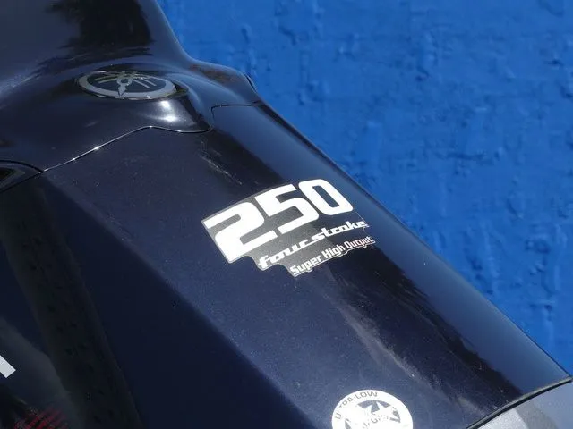 Slide: The Image of Robalo 226 Cayman 2019 - 10