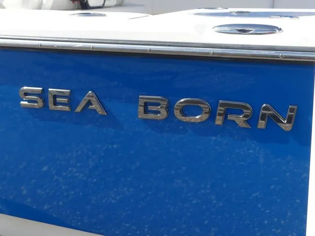 Slide: The Image of Sea Born LX24 Center Console 2020 - 7