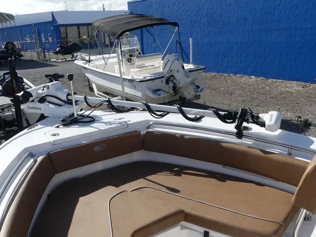 Slide: The Image of Sea Hunt Ultra 219 2025 - 13