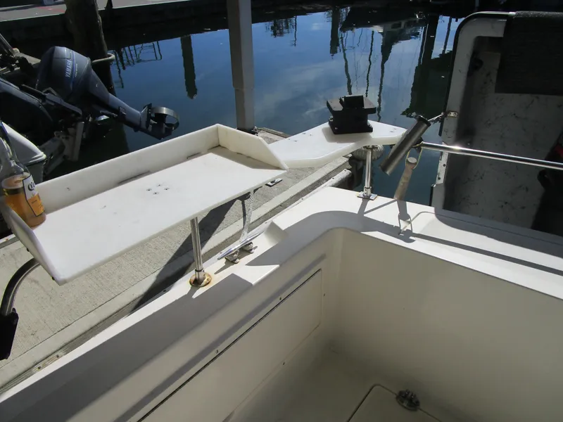 Slide: The Image of Fish Table - 25