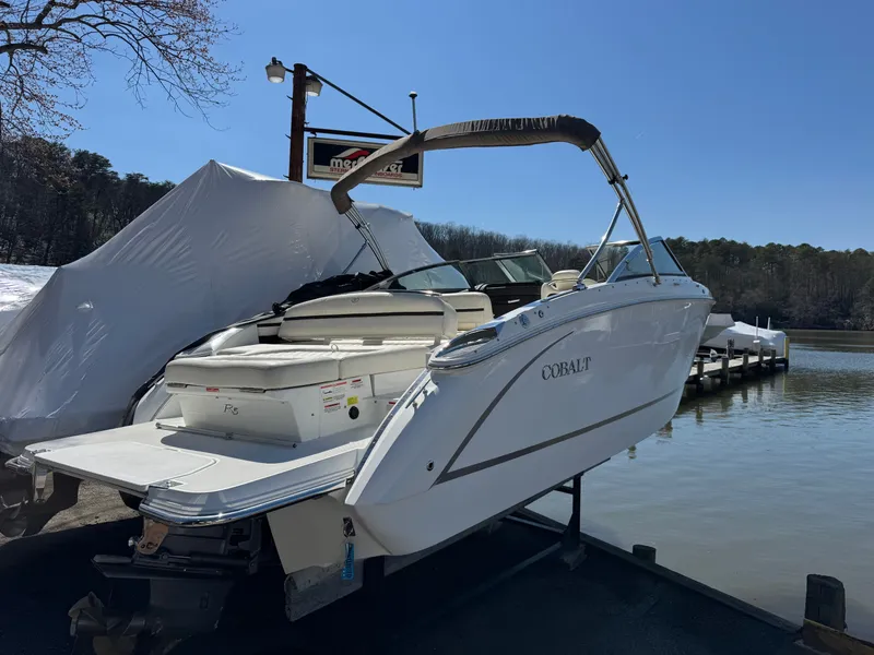 The Image of Cobalt R5 2017 - undefined