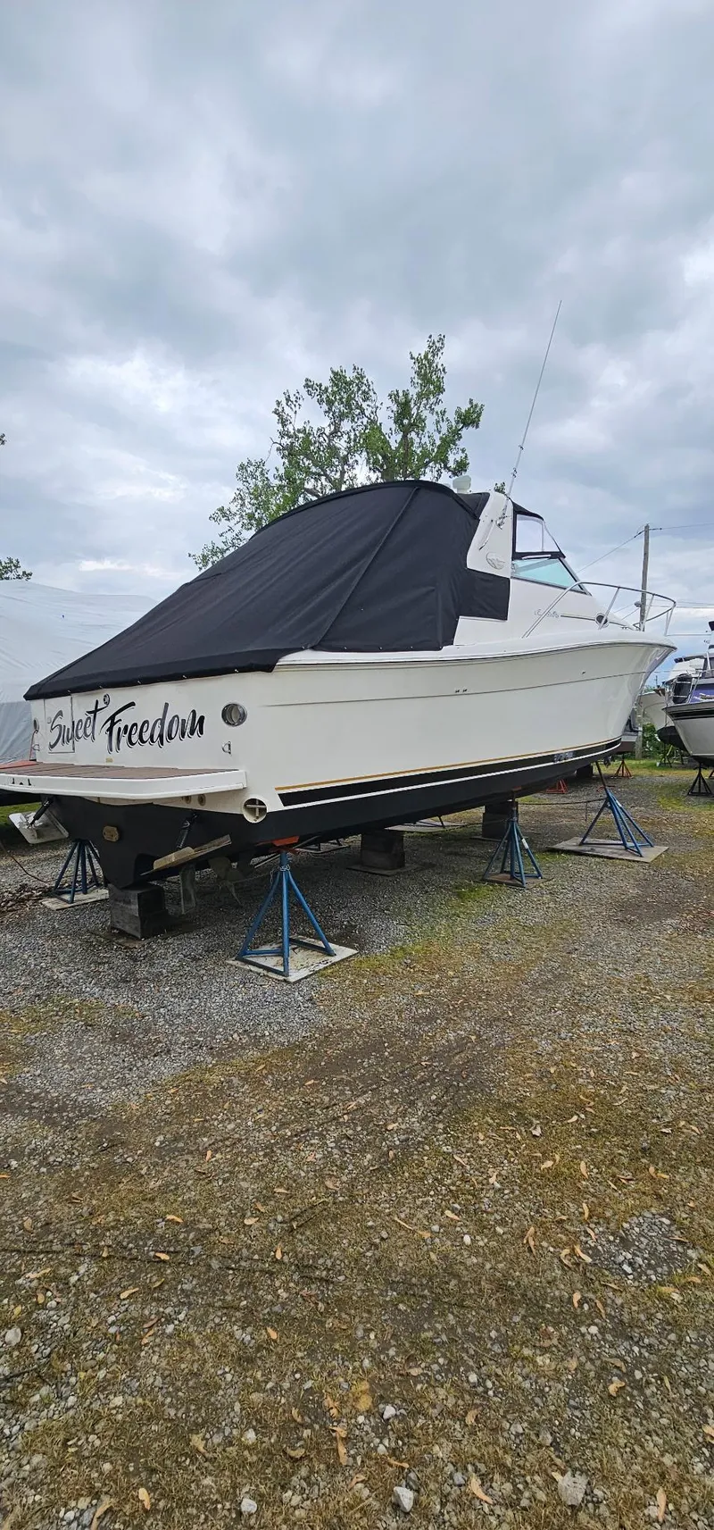 Slide: The Image of 1997 Sea Ray 330 Express boat named "Sweet Freedom" on stands, covered, outdoors. - 48