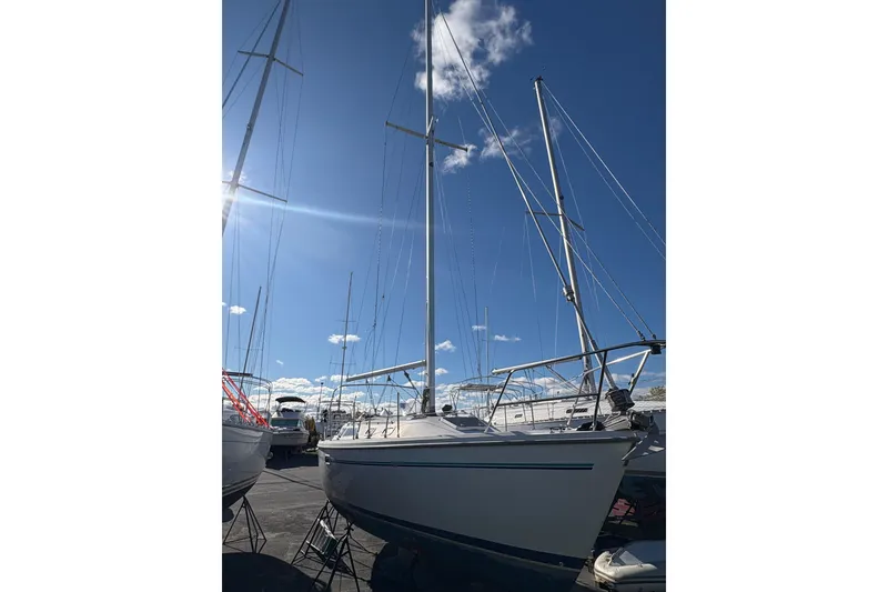 The Image of 1996 Catalina 36 MkII sailboat under clear blue sky in marina. - 0