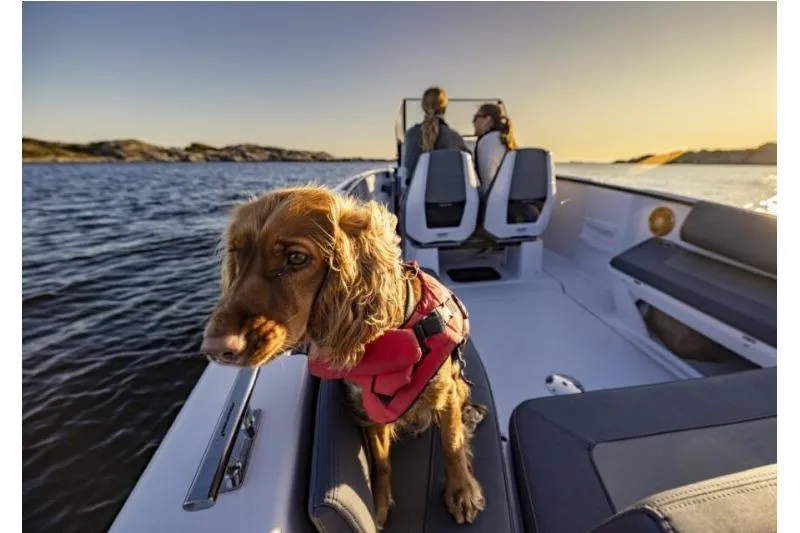 Slide: The Image of Dog on Axopar 22 Spyder boat, 2027 model, with people enjoying a scenic water view. - 6