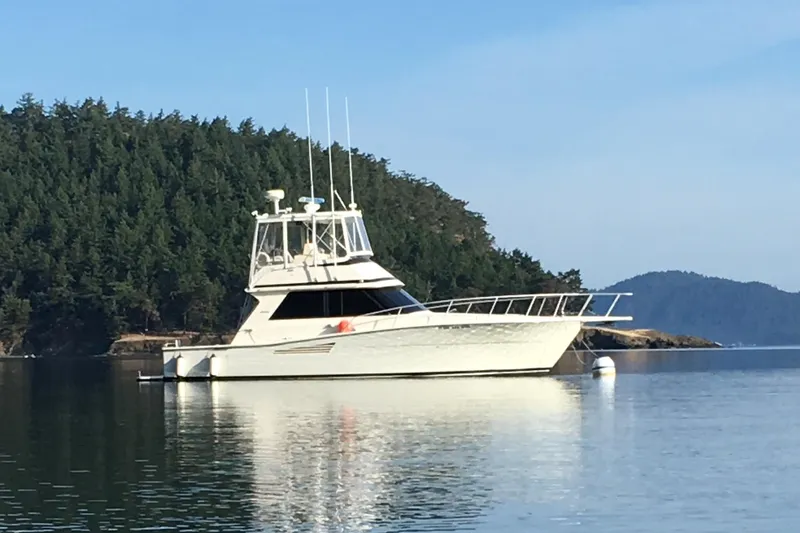 The Image of 1990 Viking 38 Convertible yacht anchored near forested shoreline. - 0