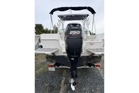 Slide: The Image of 2019 Striper 230 DC boat with 250 Pro outboard motor, rear view. - 4