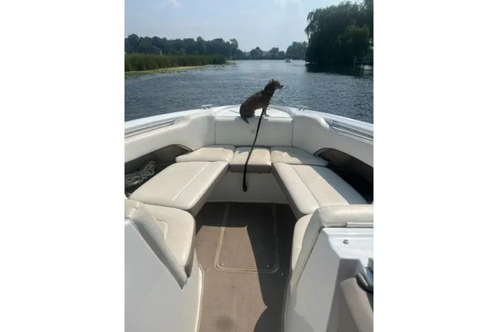 Slide: The Image of 2006 Cobalt 272 boat with dog on bow, cruising on a serene lake. - 4