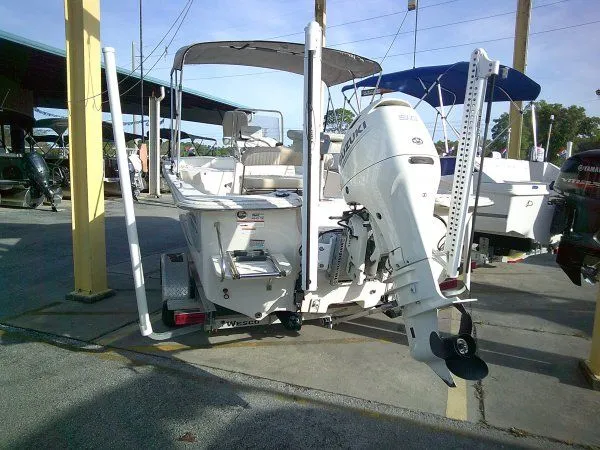 Slide: The Image of Carolina 198 DLV 2019 - 3