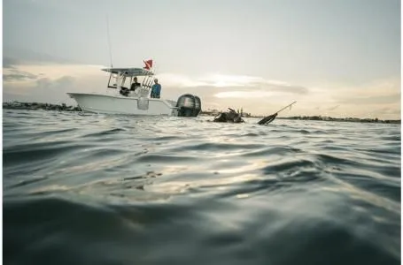 Slide: The Image of Sea Hunt Gamefish 25 2022 - 19