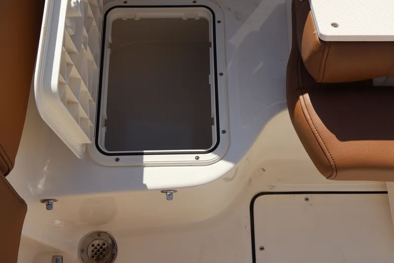 Slide: The Image of Pioneer 222 Islander 2026 - 10