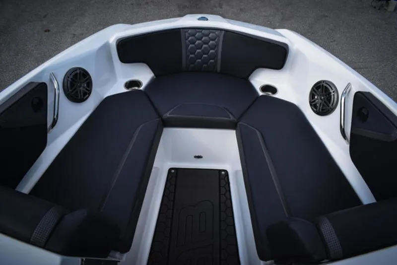 Slide: The Image of Scarab 195 ID 2024 - 10