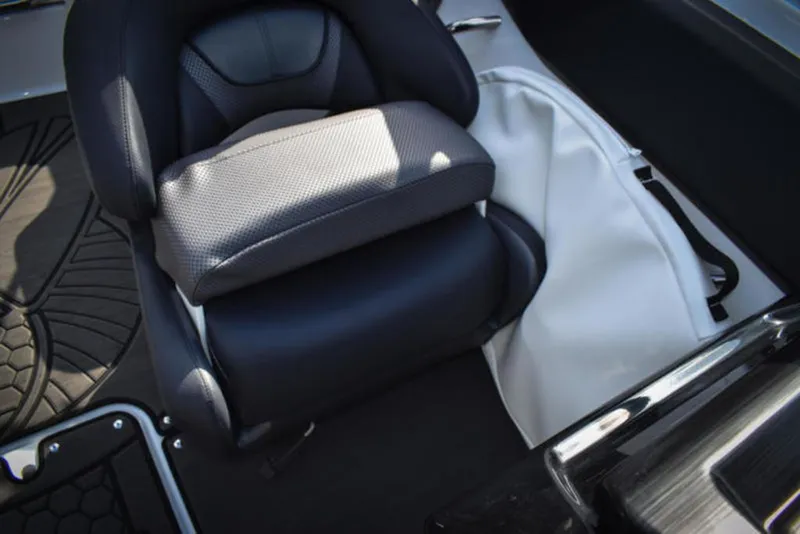 Slide: The Image of Scarab 195 ID 2024 - 11